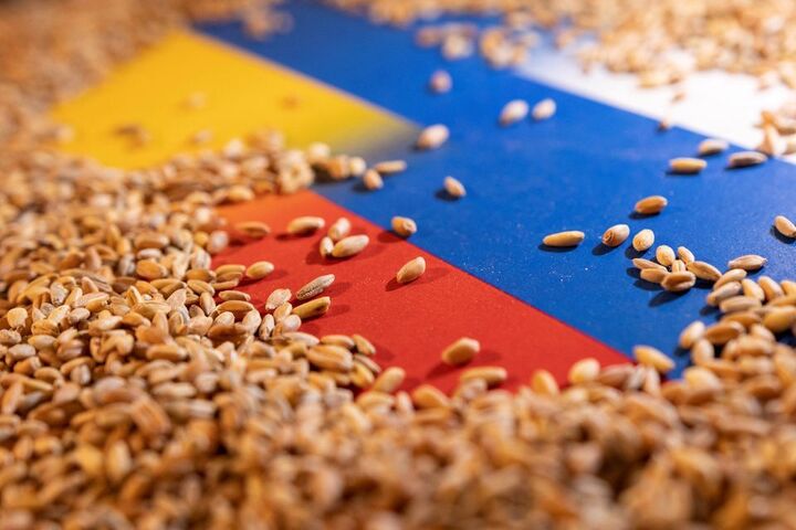 Las causas y consecuencias de la suspensión de la implementación del acuerdo de cereales entre Rusia y Ucrania